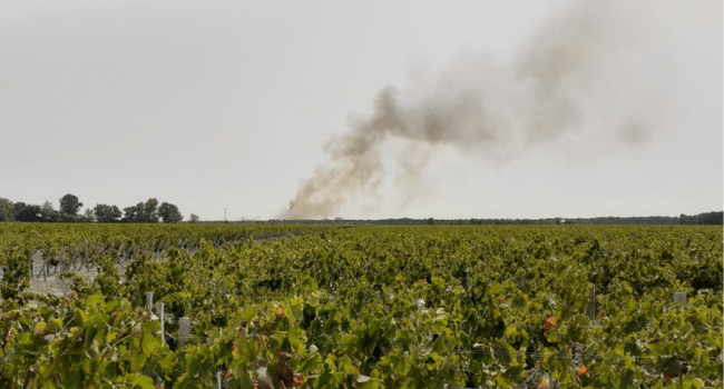 Important incendie à Lamarque en Gironde : Plusieurs hectares touchés | Capture d'écran Facebook de @nicole.riou.73